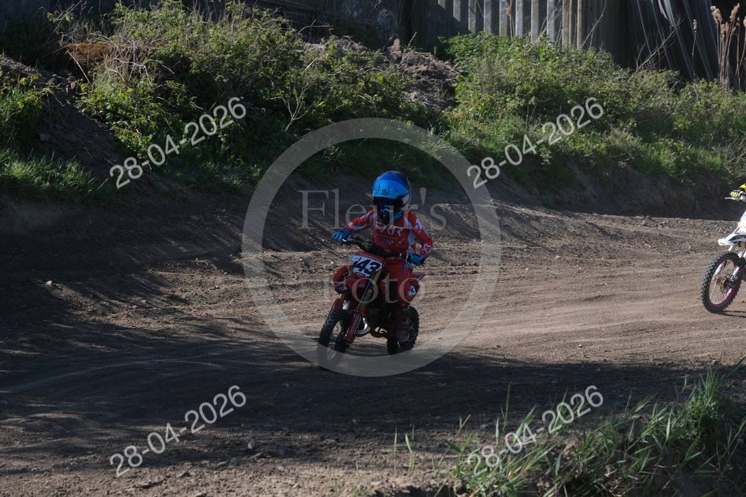 Foto 272