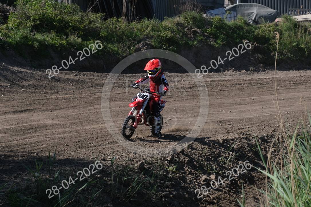 Foto 298
